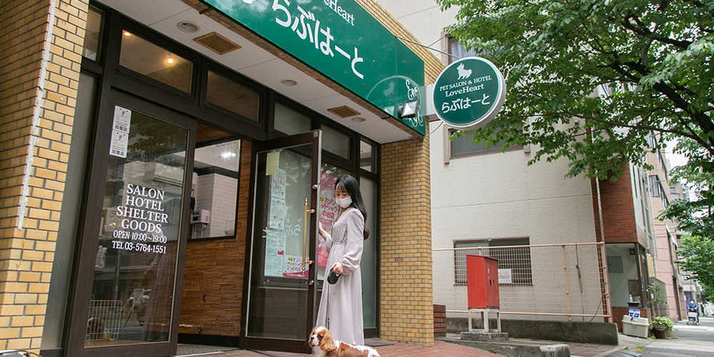ふれあい広場