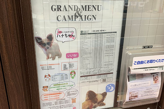 サロン案内