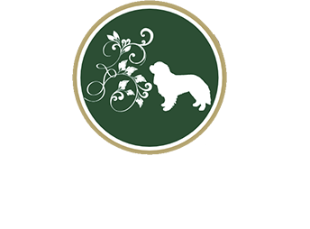 Jr大森駅徒歩6分 Pet Salon Hotelらぶはーと品川 保護しているワンちゃん Jr大森駅徒歩6分 Pet Salon Hotelらぶはーと品川 保護しているワンちゃん